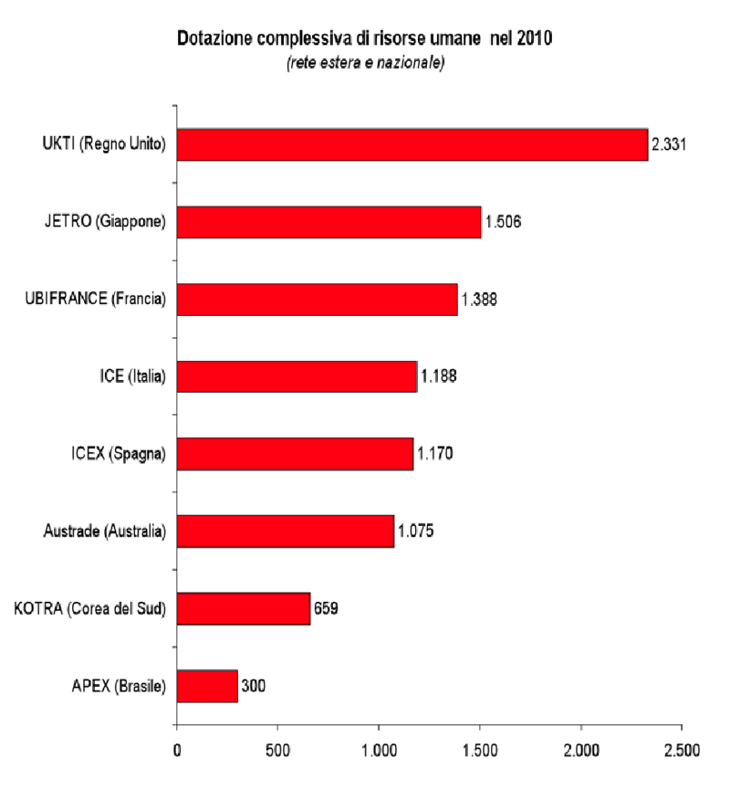 Dotazione risorse umane